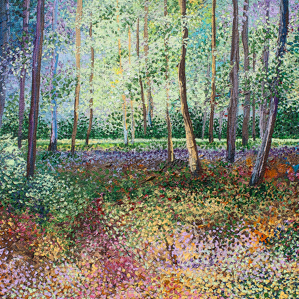 Vibrant Woodland