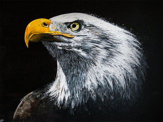 Bald Eagle Original Art